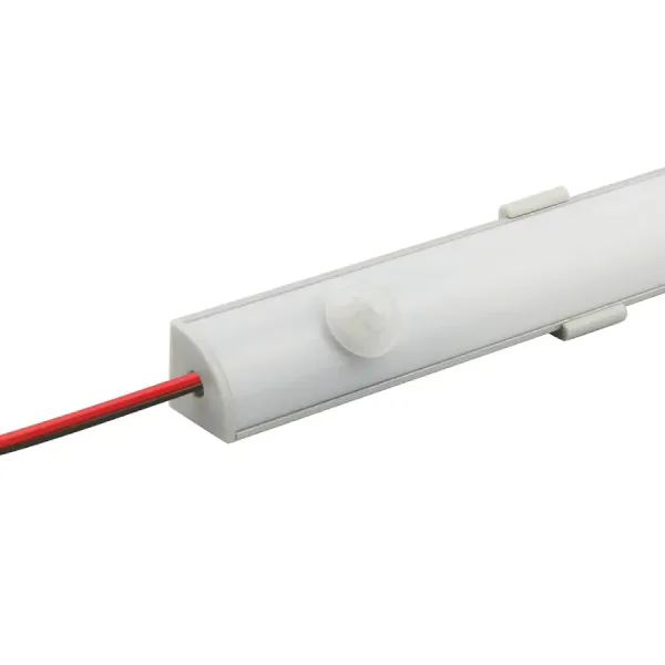 sens pir 001 3